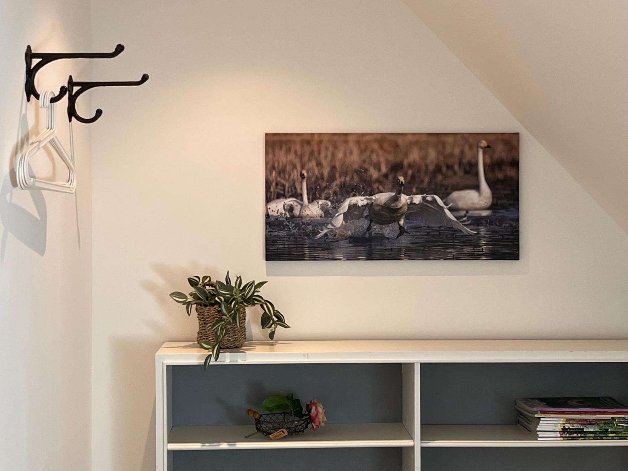 Elb Nest Gaestehaus Neu Darchau Экстерьер фото