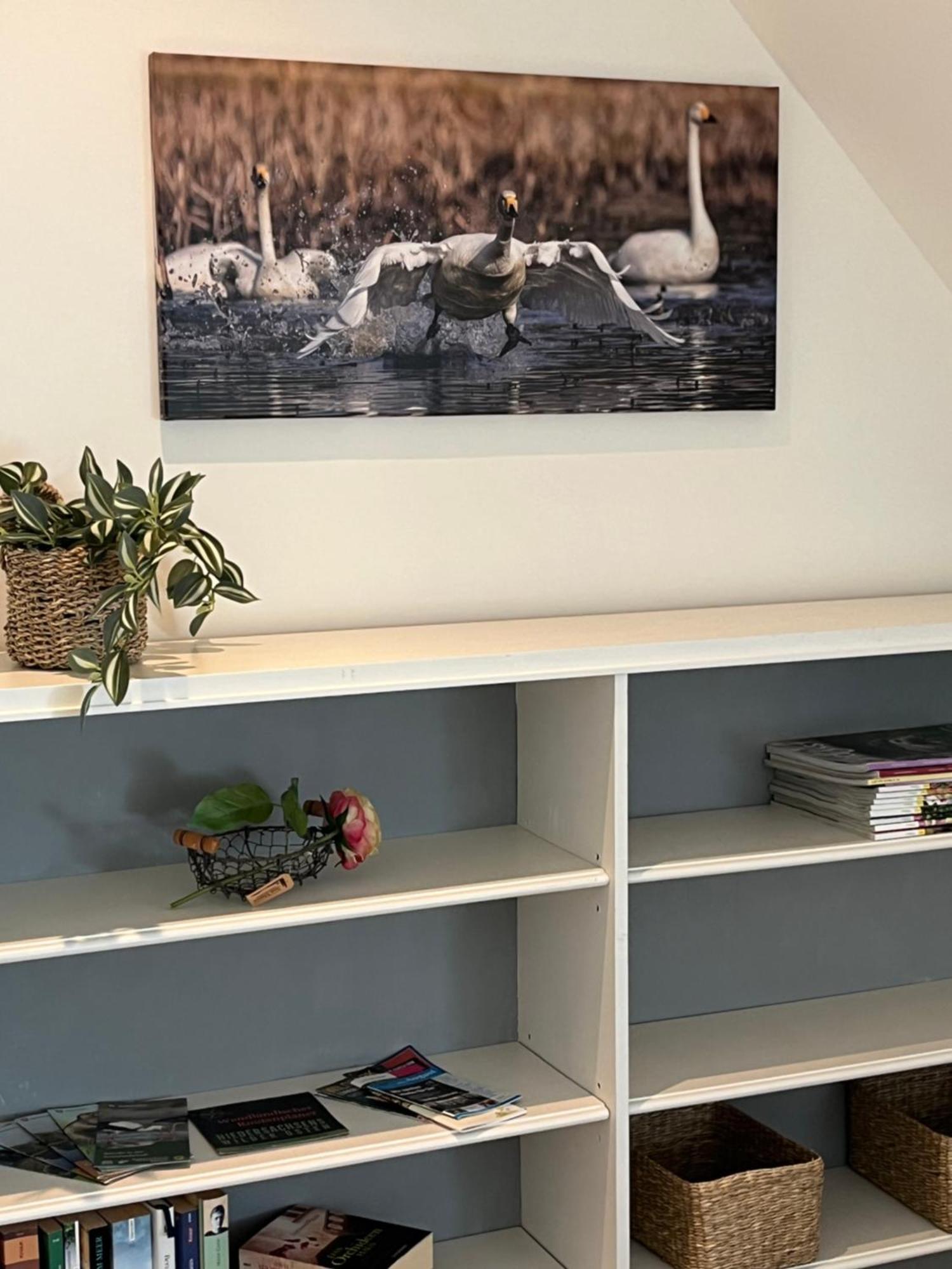 Elb Nest Gaestehaus Neu Darchau Экстерьер фото